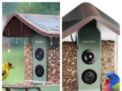 Kiwibit Review: Bring Your Backyard to Life with a Smart Bird Feeder