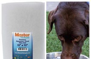 Master Pet Supply Review: Finding Practical Essentials for Happier Pets