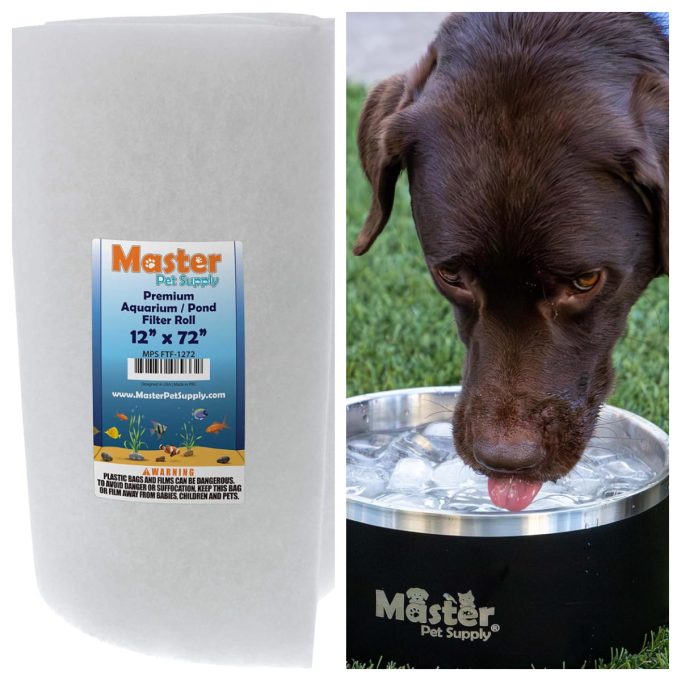 Master Pet Supply Review: Finding Practical Essentials for Happier Pets