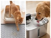 Vacqueen Review: Smart Pet Care Solutions Designed to Make Everyday Life Easier
