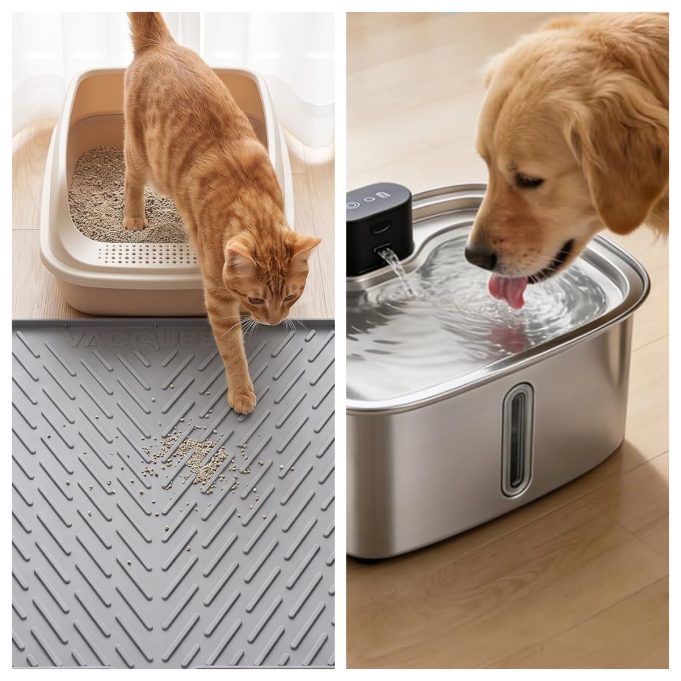 Vacqueen Review: Smart Pet Care Solutions Designed to Make Everyday Life Easier