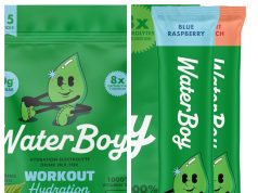 WaterBoy Review: A Convenient Way to Upgrade Your Everyday Hydration