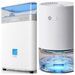 avylo: Is This Energy Star Most Efficient Dehumidifier & Indoor Air Quality Brand Worth Buying From?