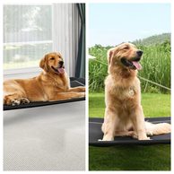 Czpalo: Is This Outdoor Elevated Dog Bed & Cooling Pet Cot Brand Worth Buying From?