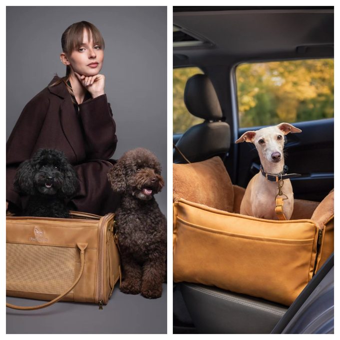 Noah & Paw: Is This Luxury Pet Ramp, Airline Carrier & Dog Bed Brand Worth Buying From?