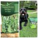 Outsidepride: Is This Lawn Seed, Clover, Wildflower & Ground Cover Seed Brand Worth Buying From?