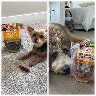 Pur Luv: Is This High-Protein Dog Jerky & Functional Chew Brand Worth Buying From?